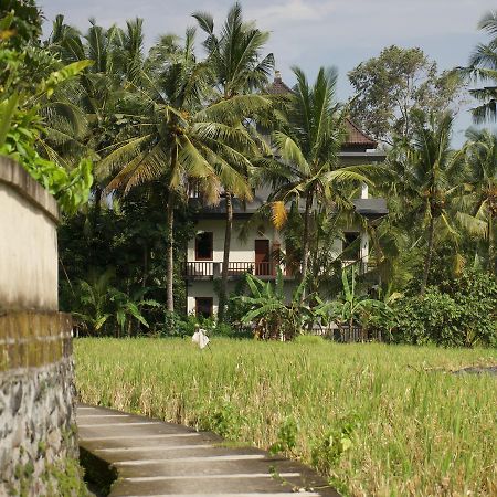 Eden House Ubud Bagian luar foto