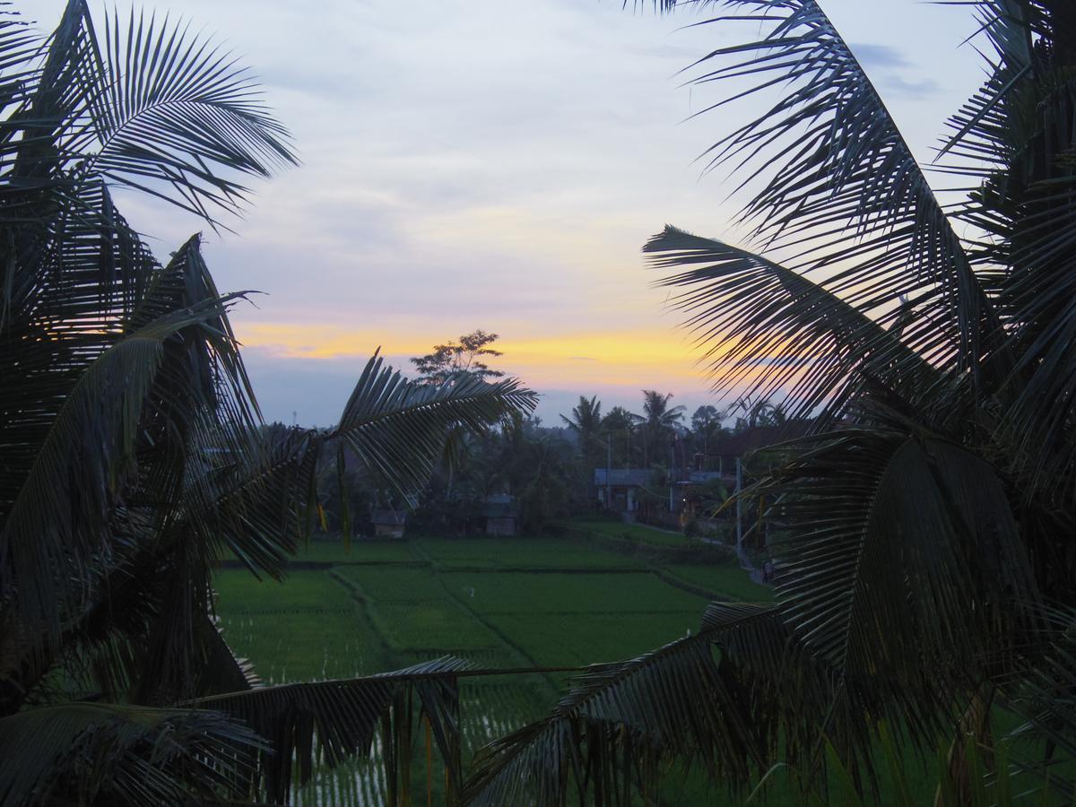 Eden House Ubud Bagian luar foto