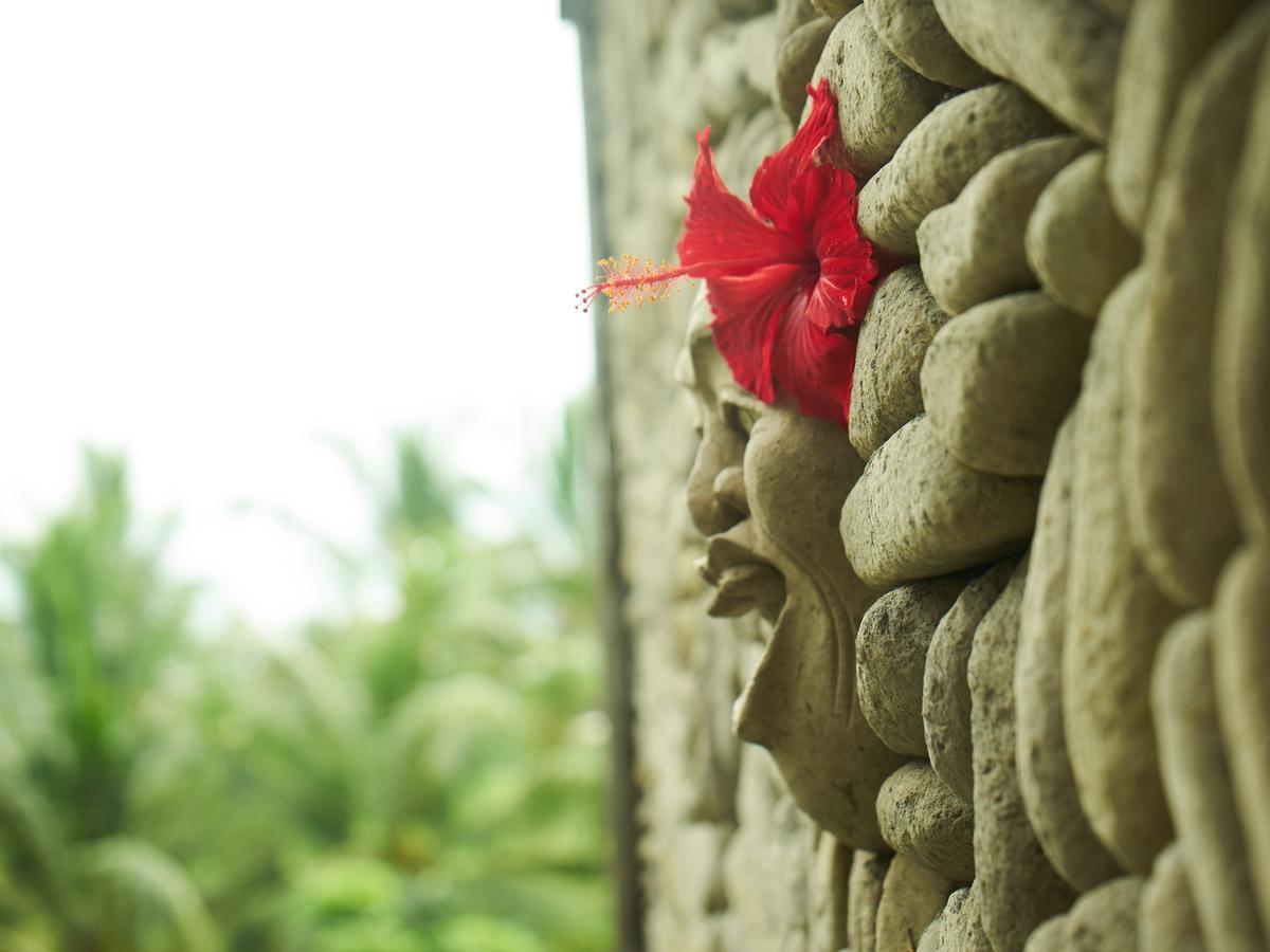 Eden House Ubud Bagian luar foto