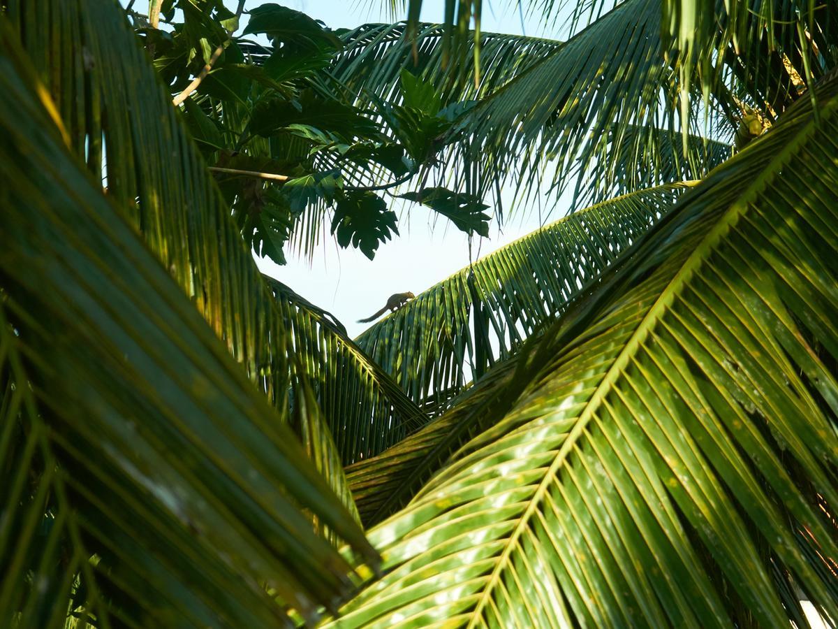 Eden House Ubud Bagian luar foto
